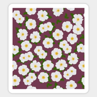Cherokee Rose Pattern Sticker
